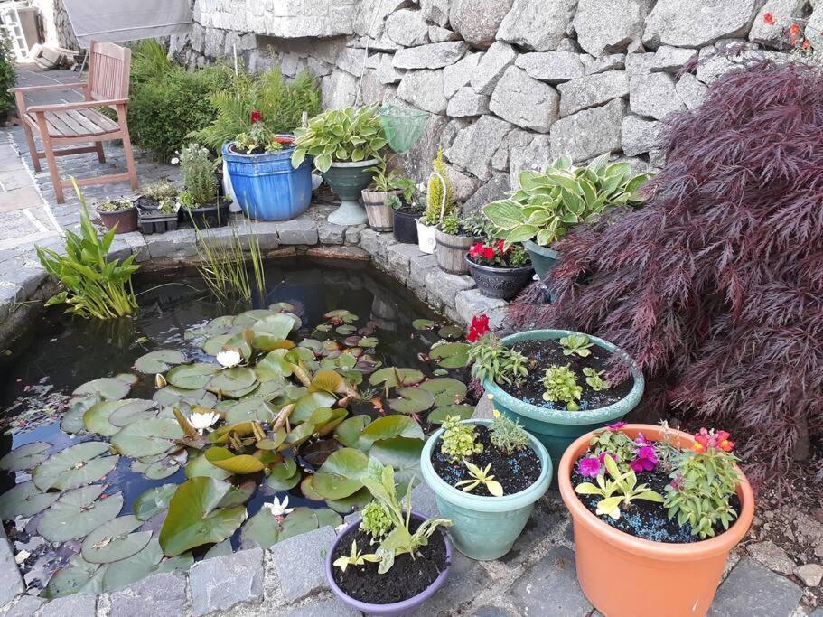 Country Cottage Close To The City. 뉴리 외부 사진